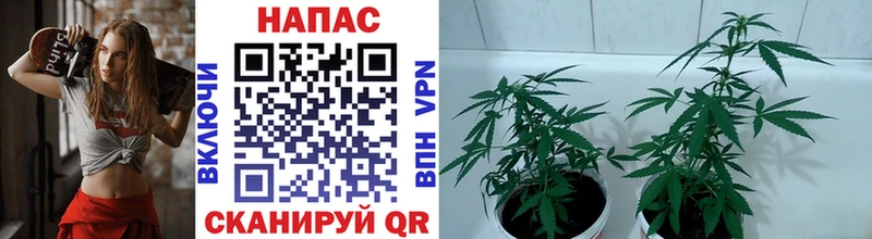 Названия наркотиков Полысаево Амфетамин Экстази KRAKEN сайт МЕФ