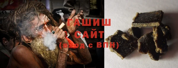 прущие грибы Новозыбков