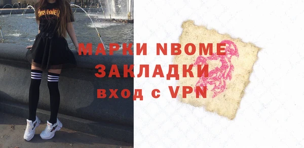 молекула духа Няндома