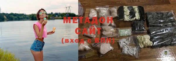 прущие грибы Новозыбков