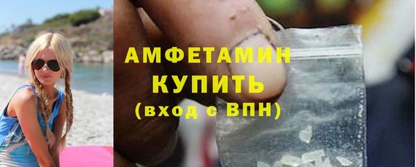 индика Нягань