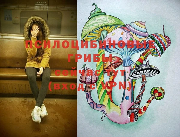 марки nbome Новокубанск
