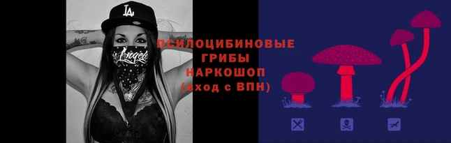 spice Нязепетровск