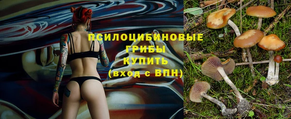 а пвп мука Вуктыл