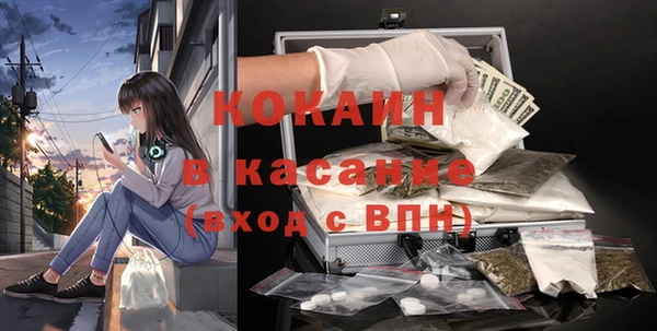индика Нягань