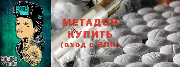прущие грибы Новозыбков