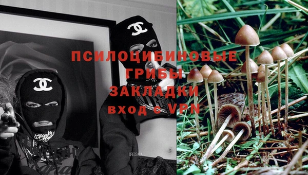 индика Нягань
