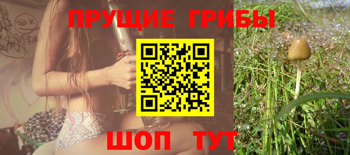 хочу наркоту  Псилоцибиновые грибы ЛСД  Вход с VPN  Полысаево 